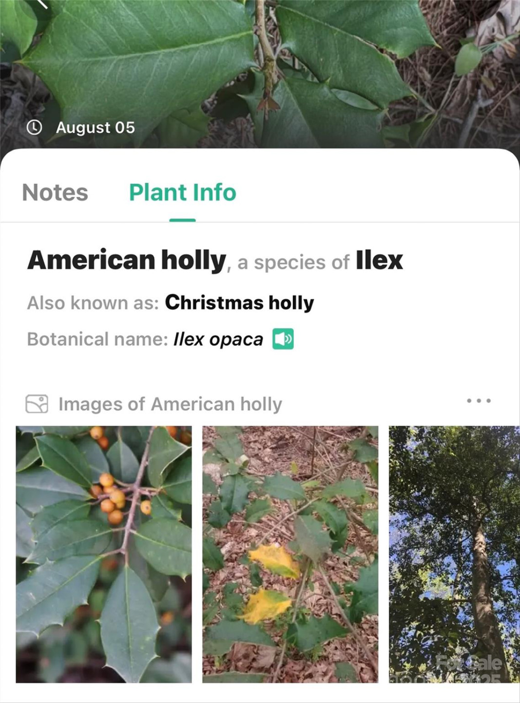 365 Peninsula Reserve Road #25 - Photo 31