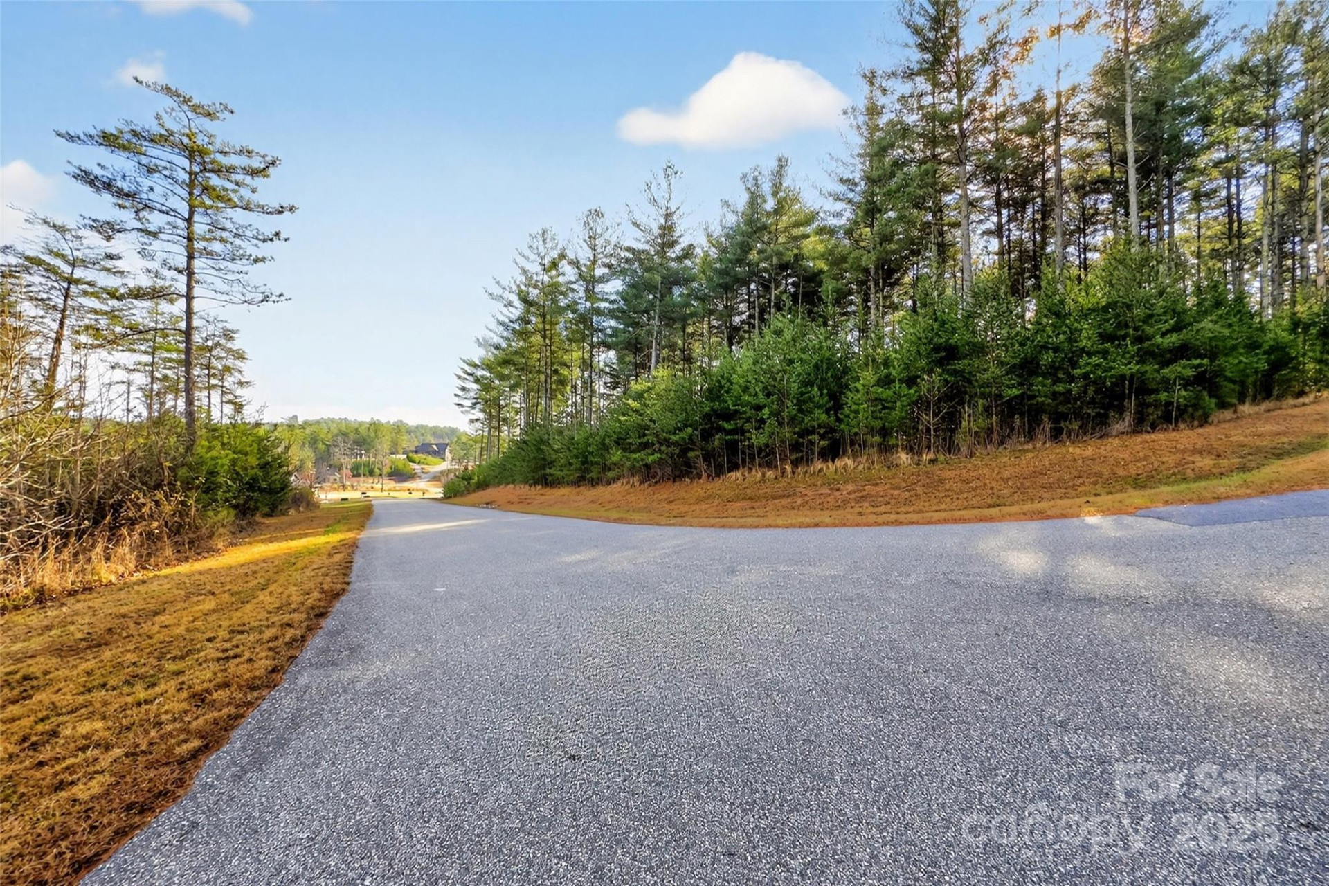 365 Peninsula Reserve Road #25 - Photo 34