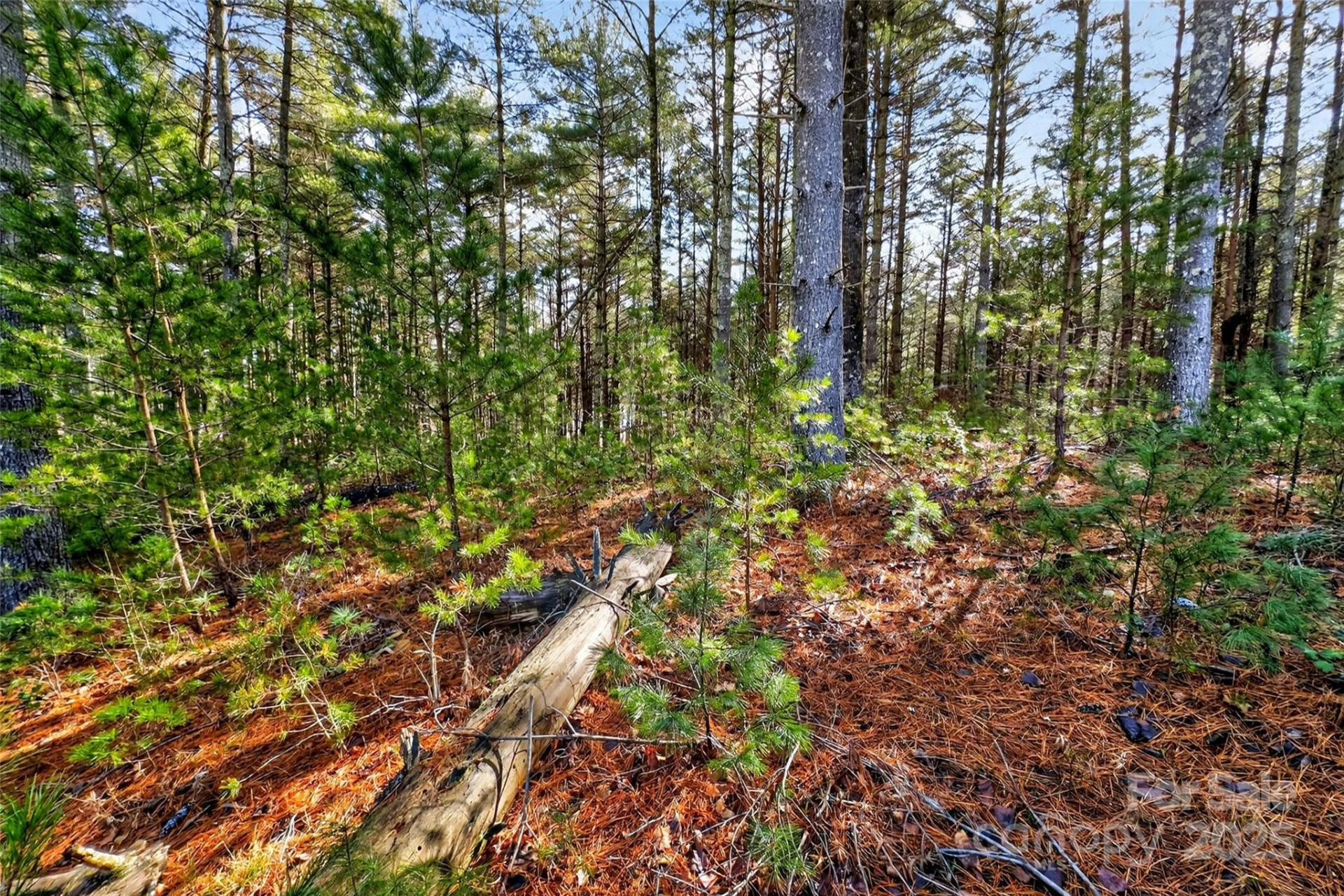 365 Peninsula Reserve Road #25 - Photo 38