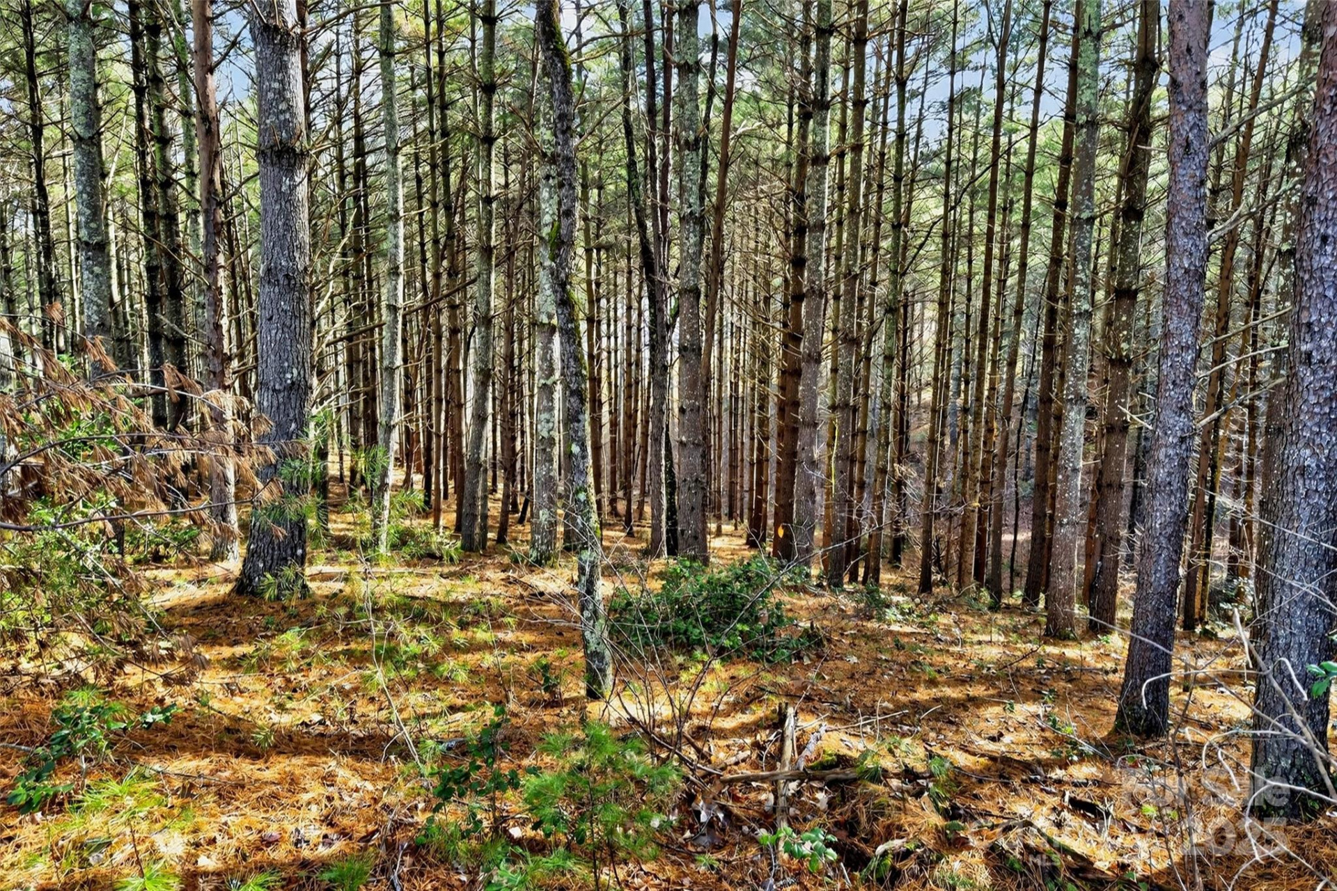 365 Peninsula Reserve Road #25 - Photo 40