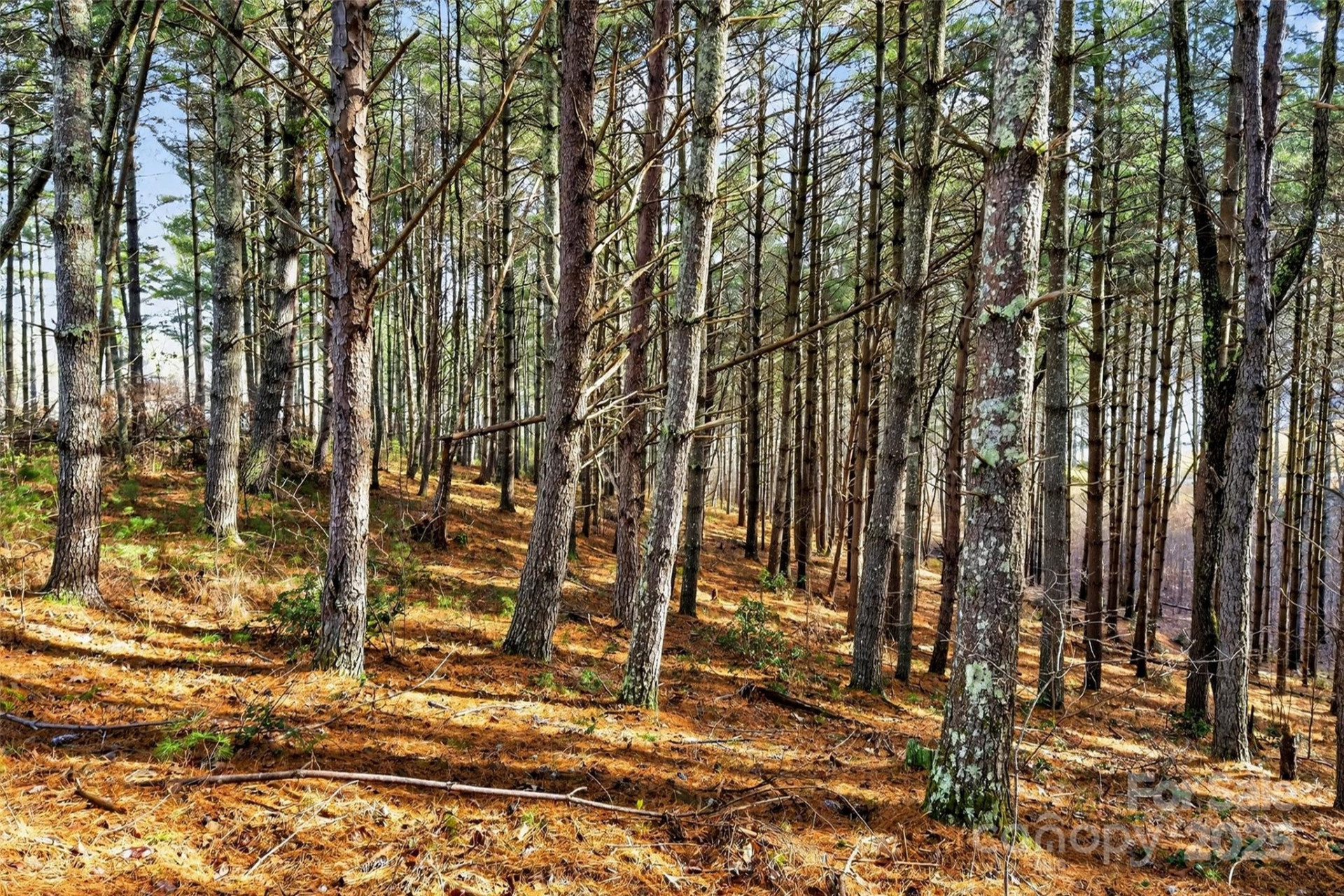 365 Peninsula Reserve Road #25 - Photo 41