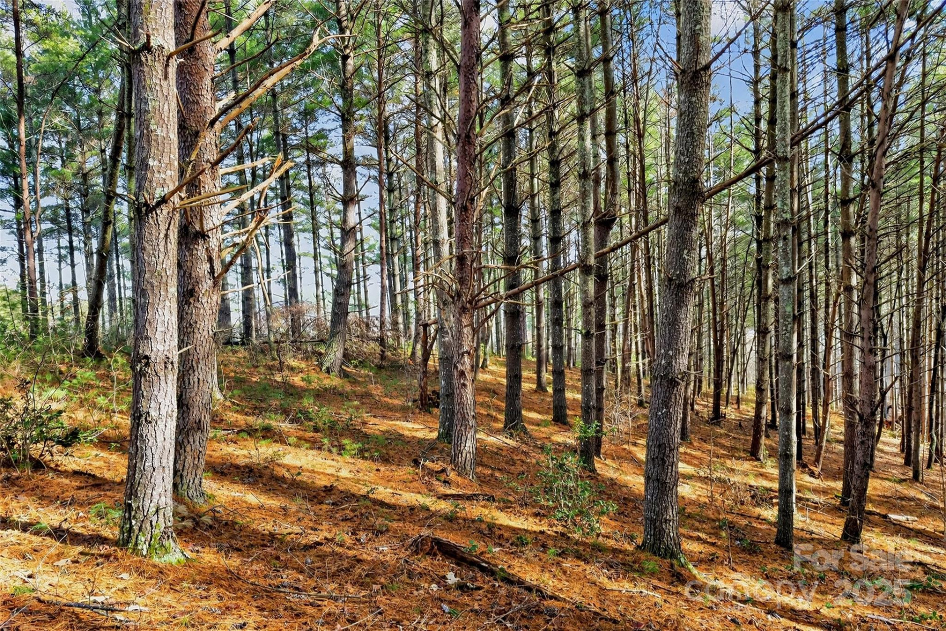 365 Peninsula Reserve Road #25 - Photo 42