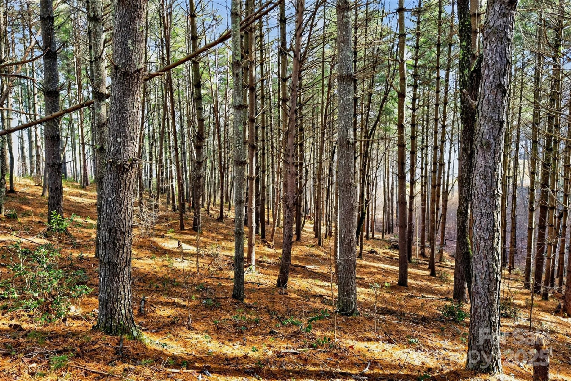 365 Peninsula Reserve Road #25 - Photo 43