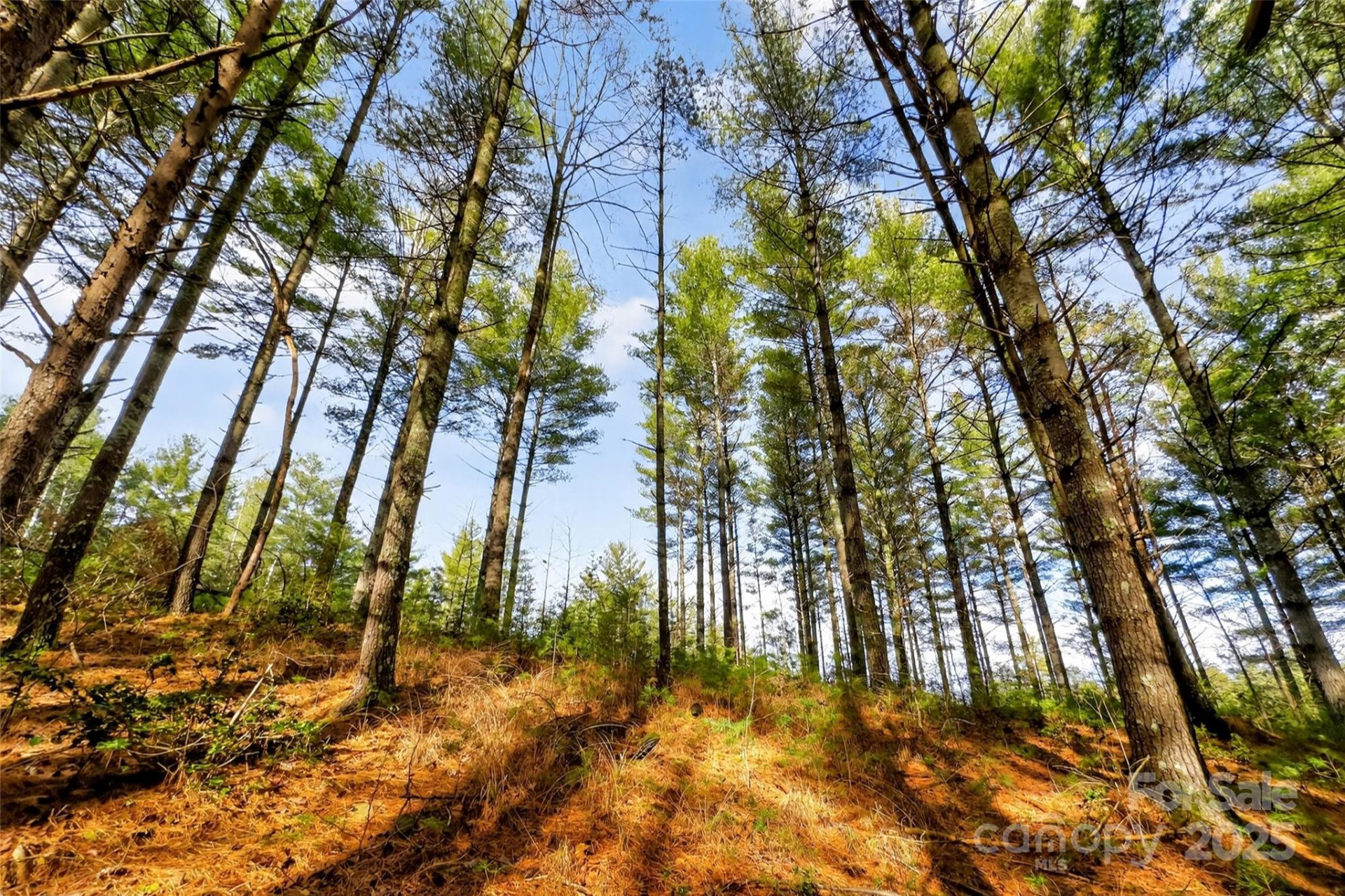 365 Peninsula Reserve Road #25 - Photo 44