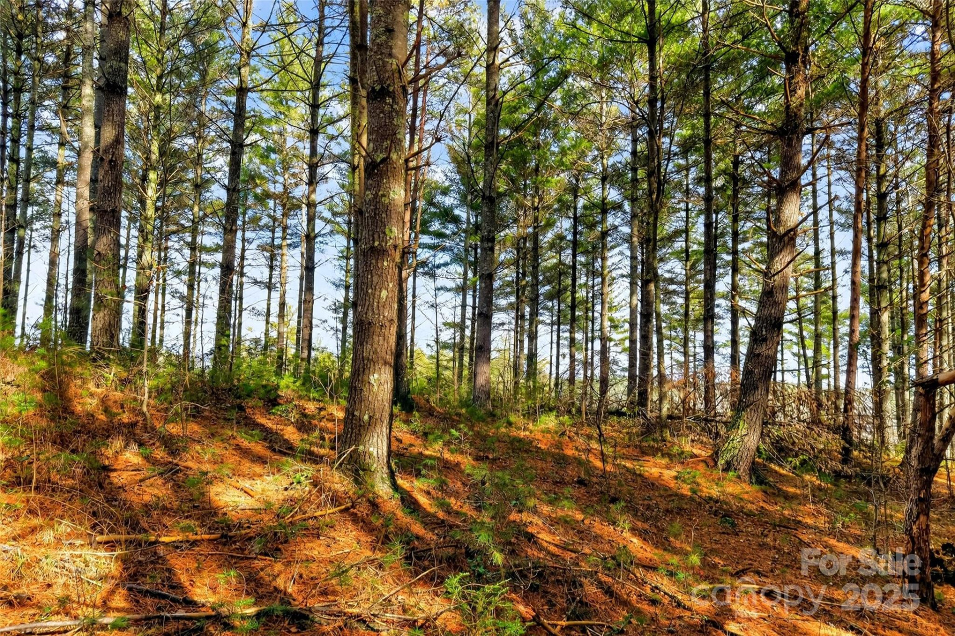 365 Peninsula Reserve Road #25 - Photo 45