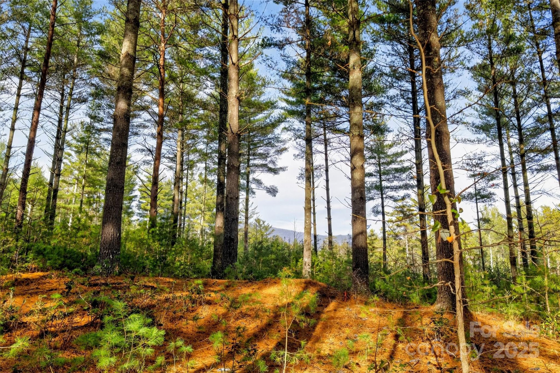 365 Peninsula Reserve Road #25 - Photo 46