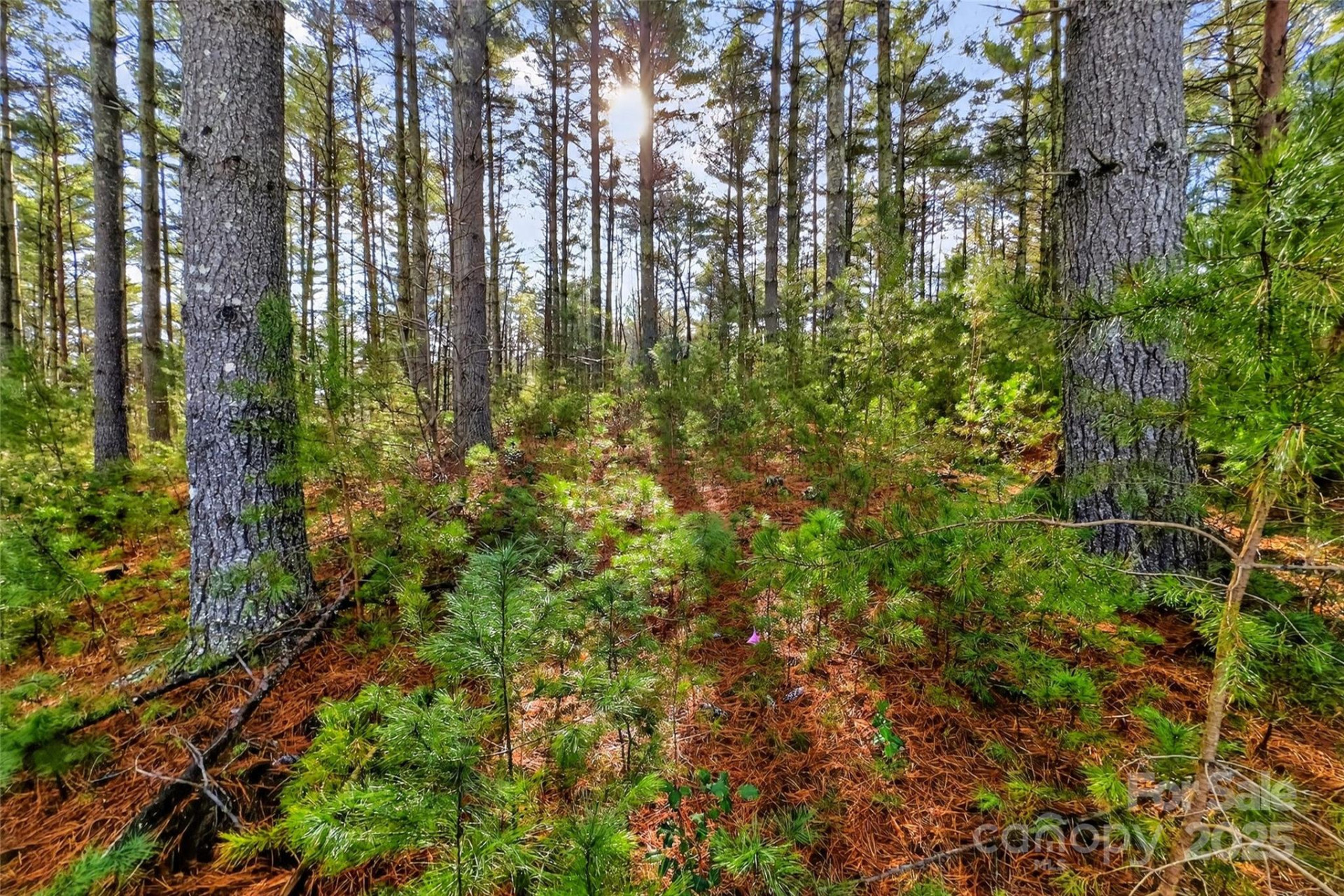 365 Peninsula Reserve Road #25 - Photo 47