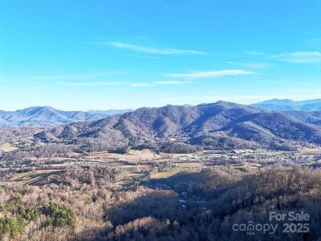 TBD Vireo Lane, Waynesville, NC, 28785
