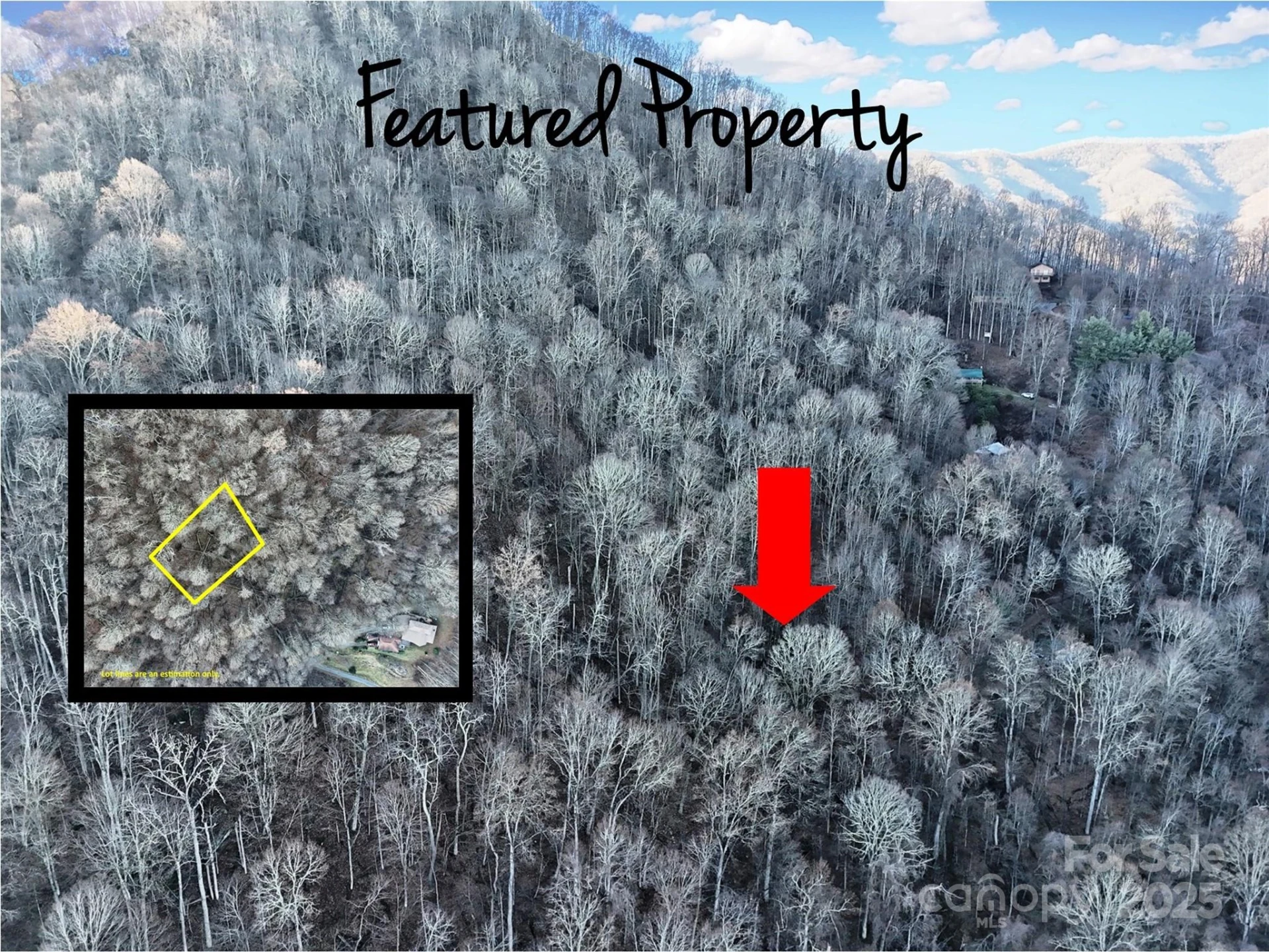 TBD Vireo Lane - Photo 2