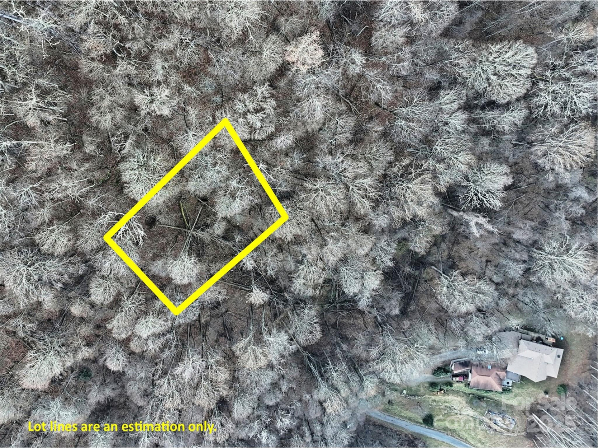 TBD Vireo Lane - Photo 3