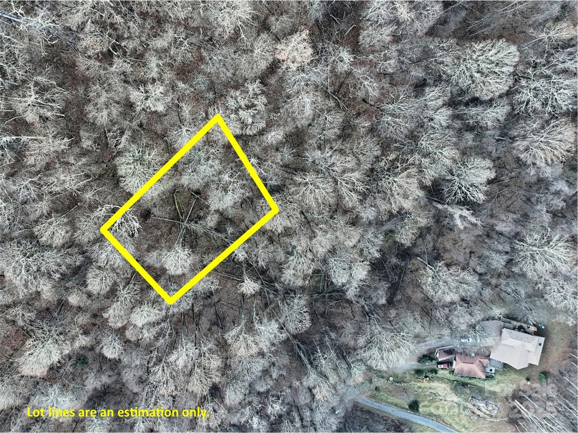 TBD Vireo Lane - Photo 3
