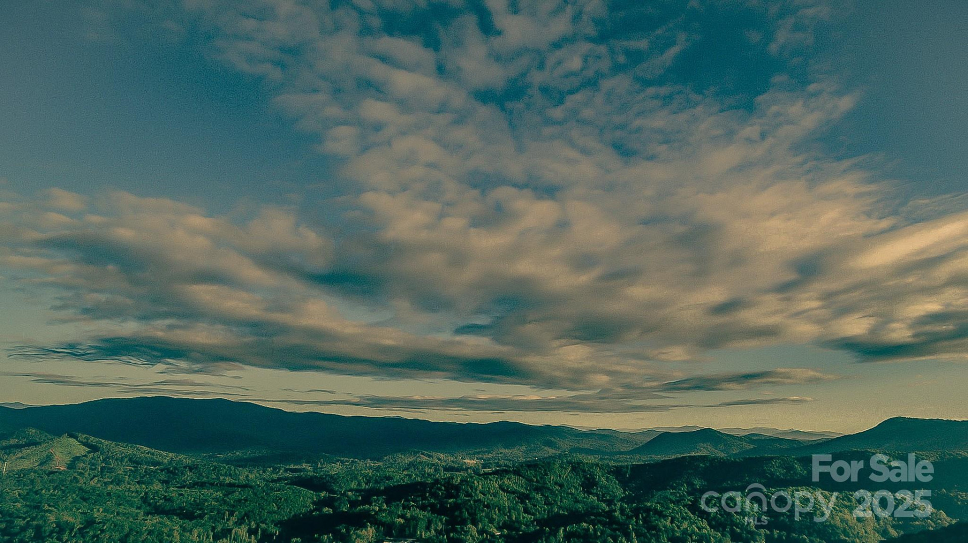 0 Shoal Ridge #1-5 - Photo 15