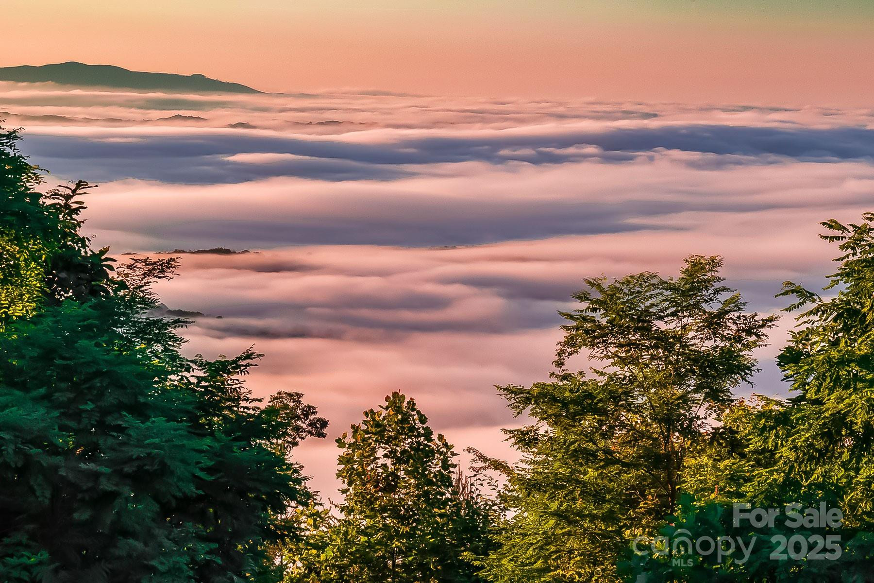 0 Shoal Ridge #1-5 - Photo 16