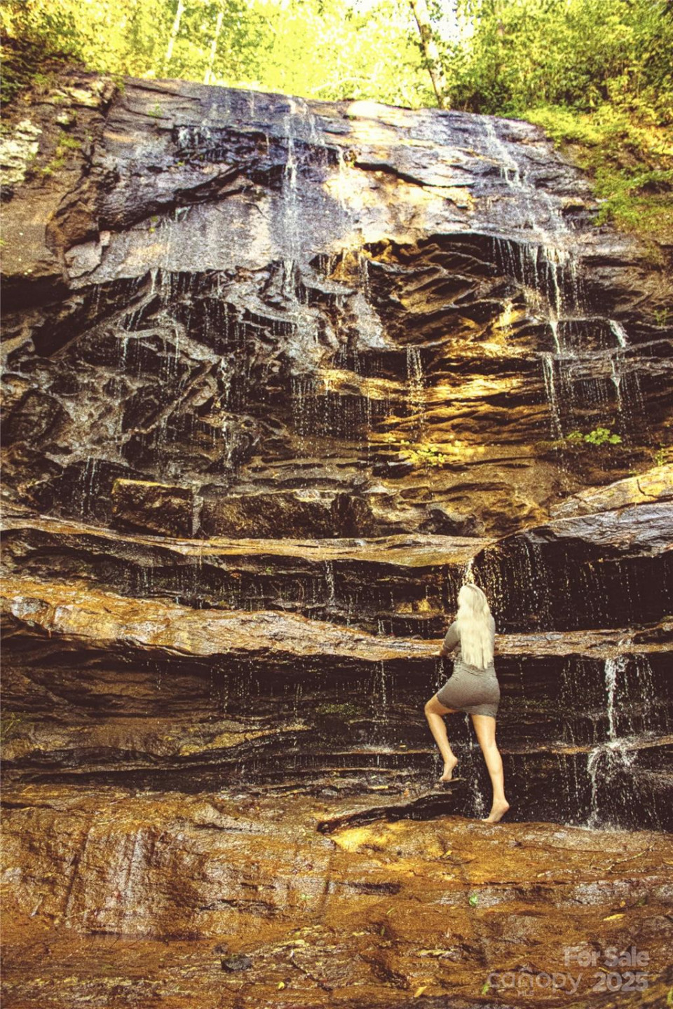 0 The Falls Road - Photo 8