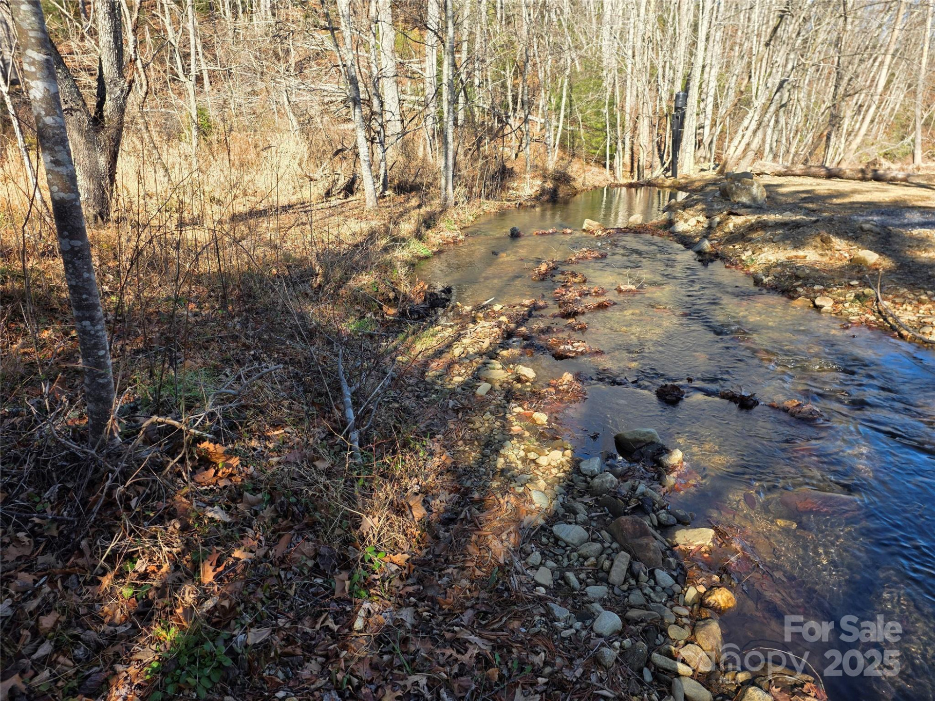 536 Hickory Springs Road - Photo 2