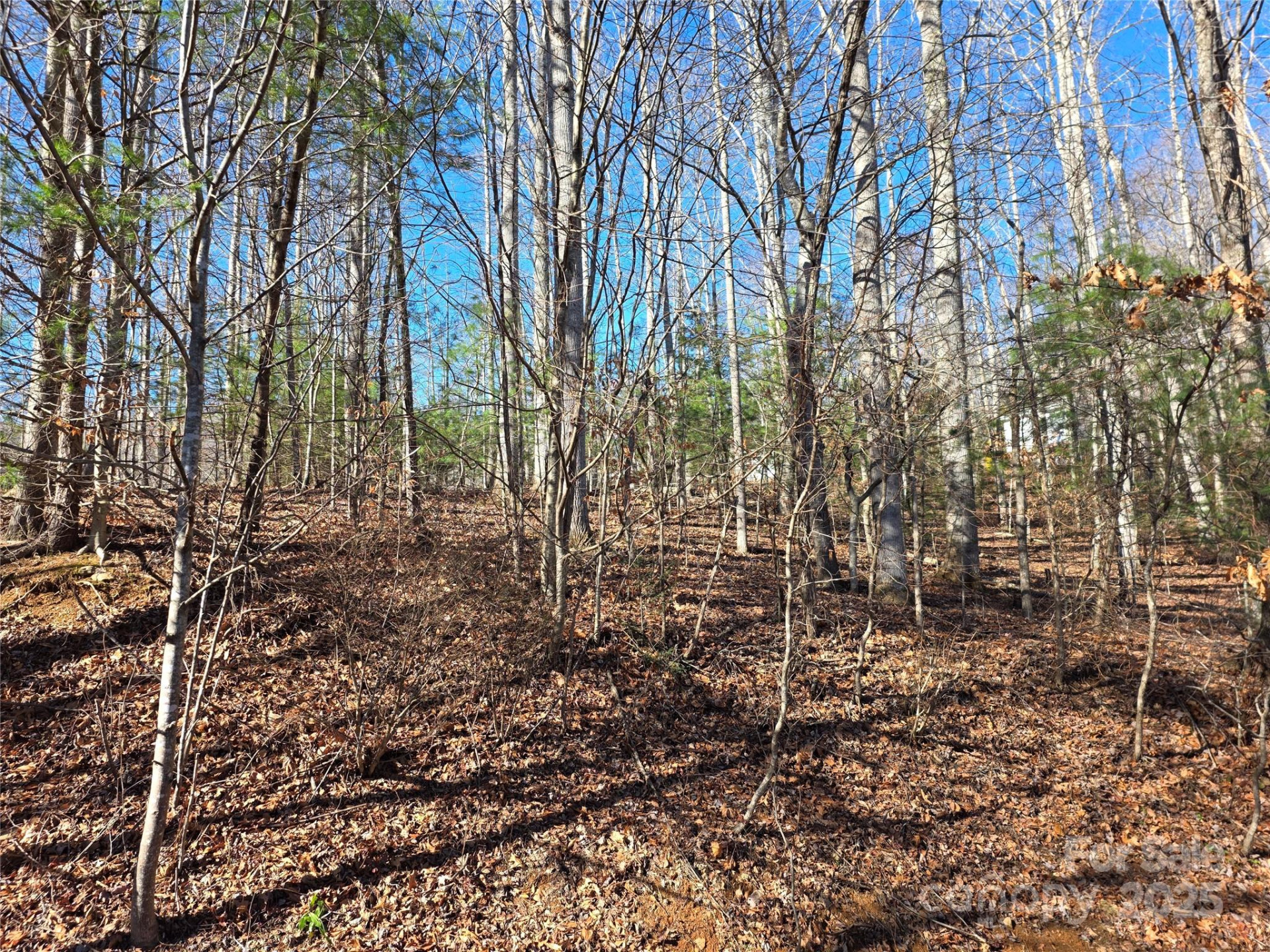 536 Hickory Springs Road - Photo 24