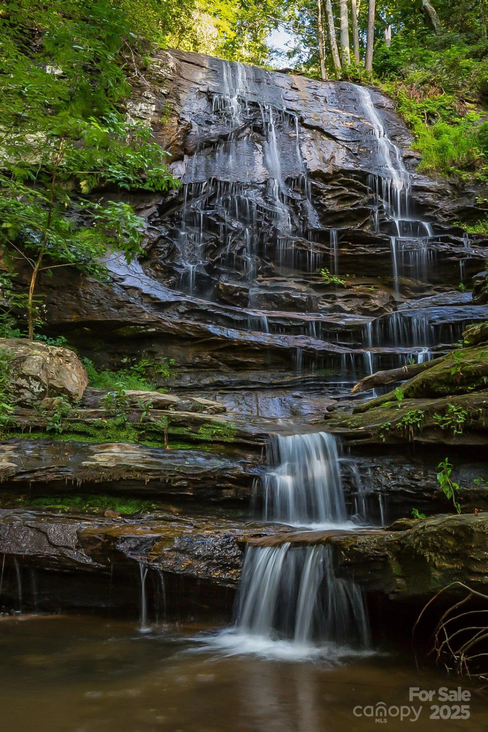 +/-17.73 Acres The Falls Road - Photo 2