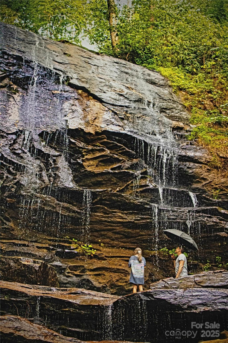 +/-17.73 Acres The Falls Road - Photo 13