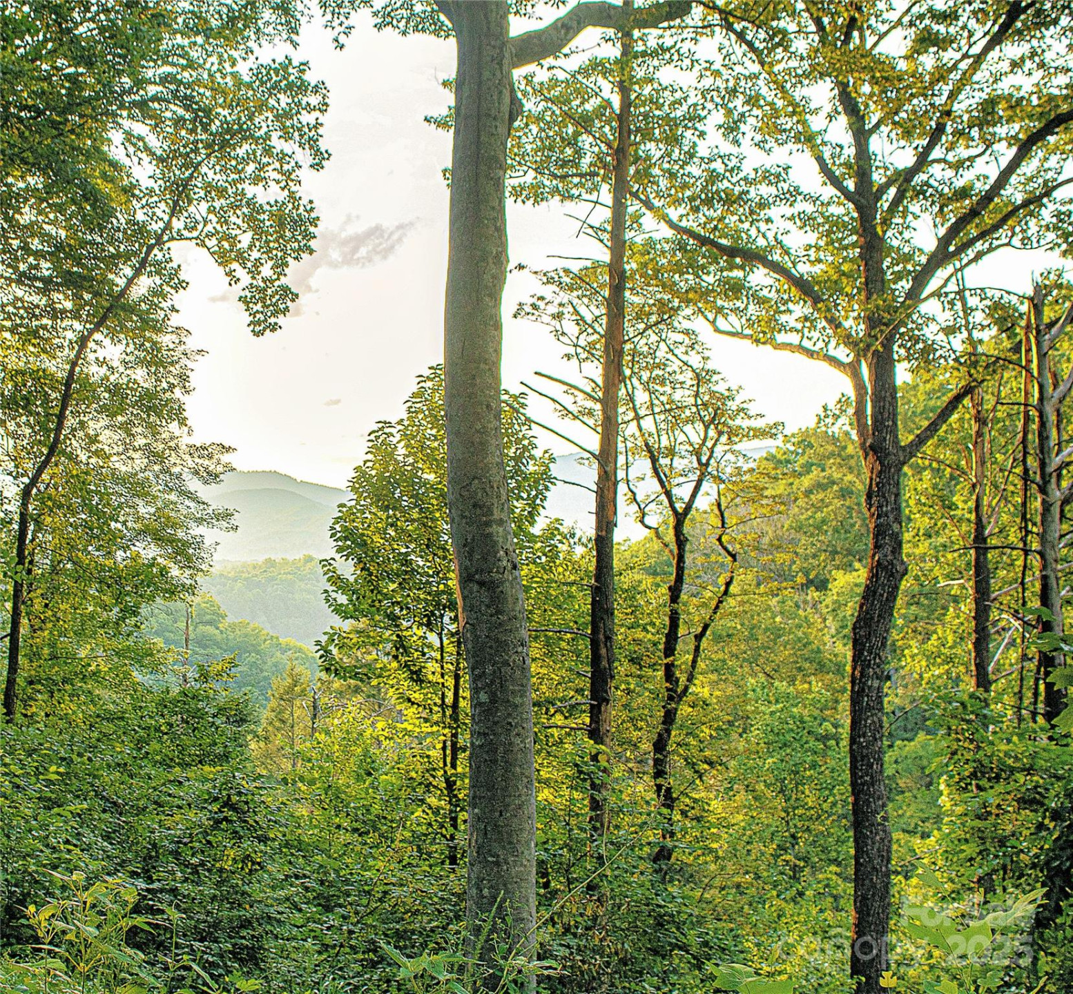 +/-17.73 Acres The Falls Road - Photo 14