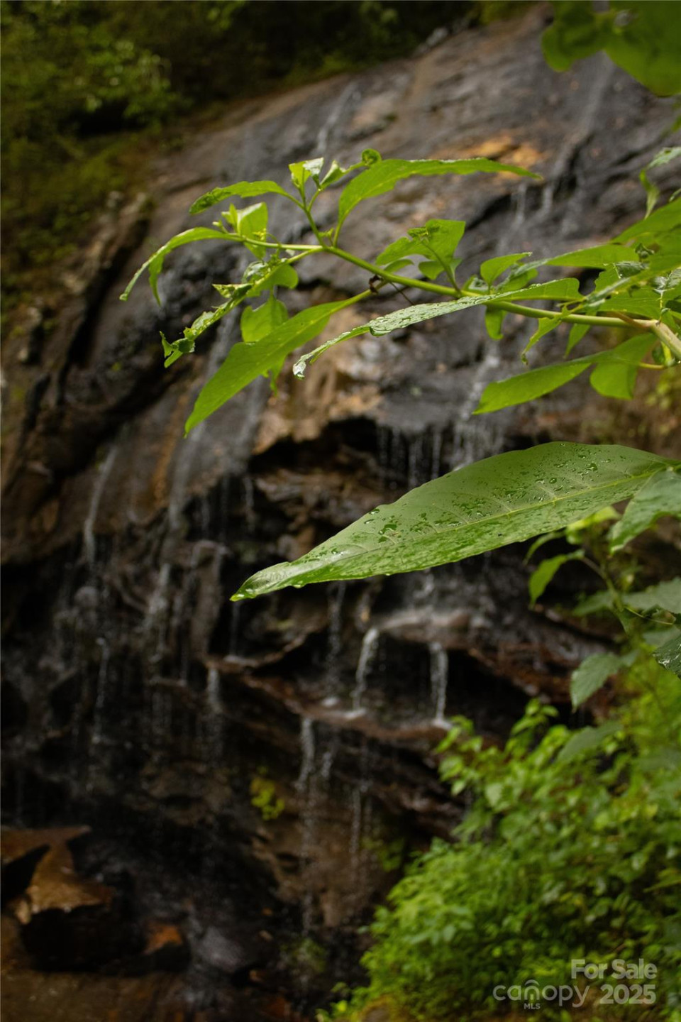 +/-17.73 Acres The Falls Road - Photo 15