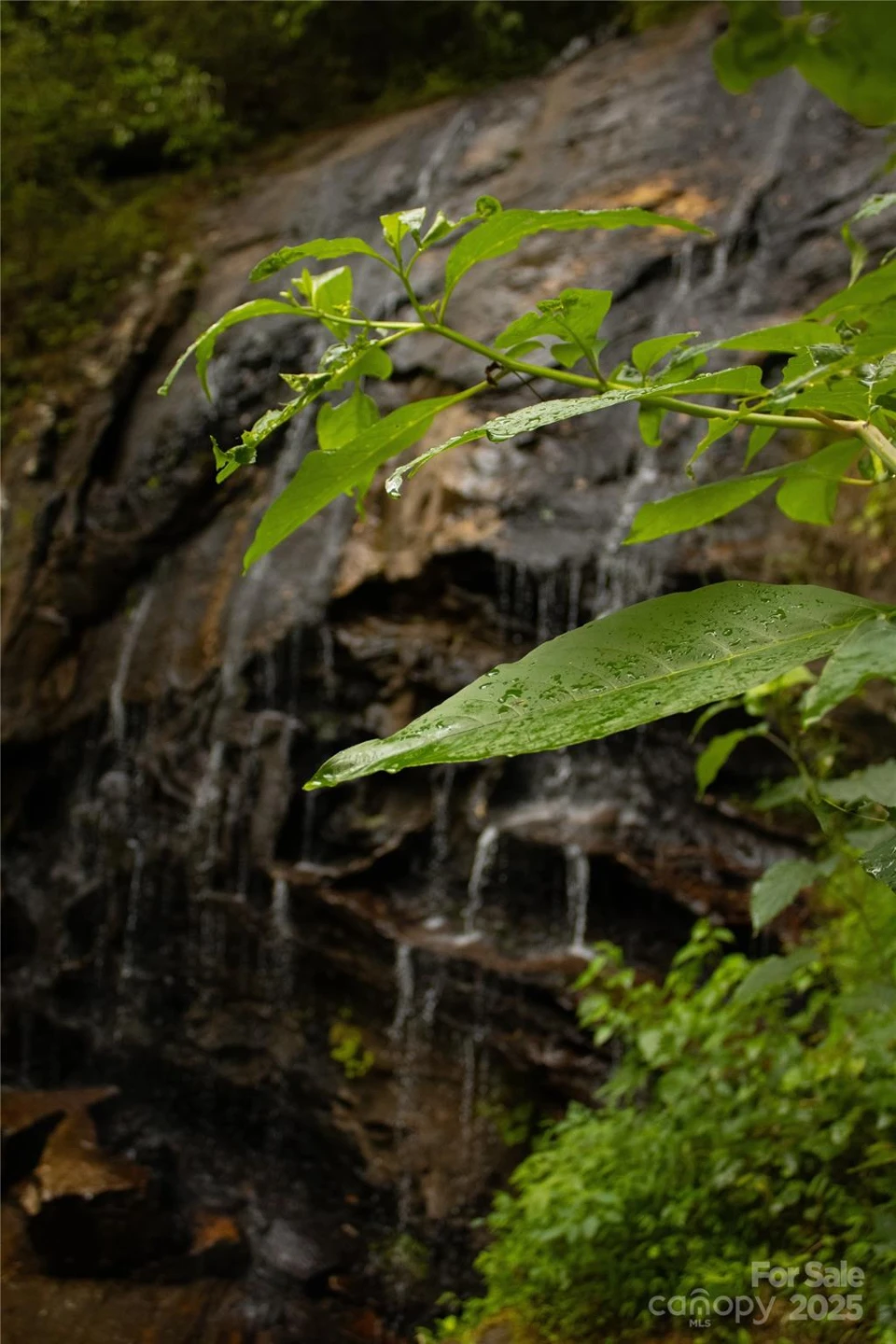 +/-17.73 Acres The Falls Road - Photo 15
