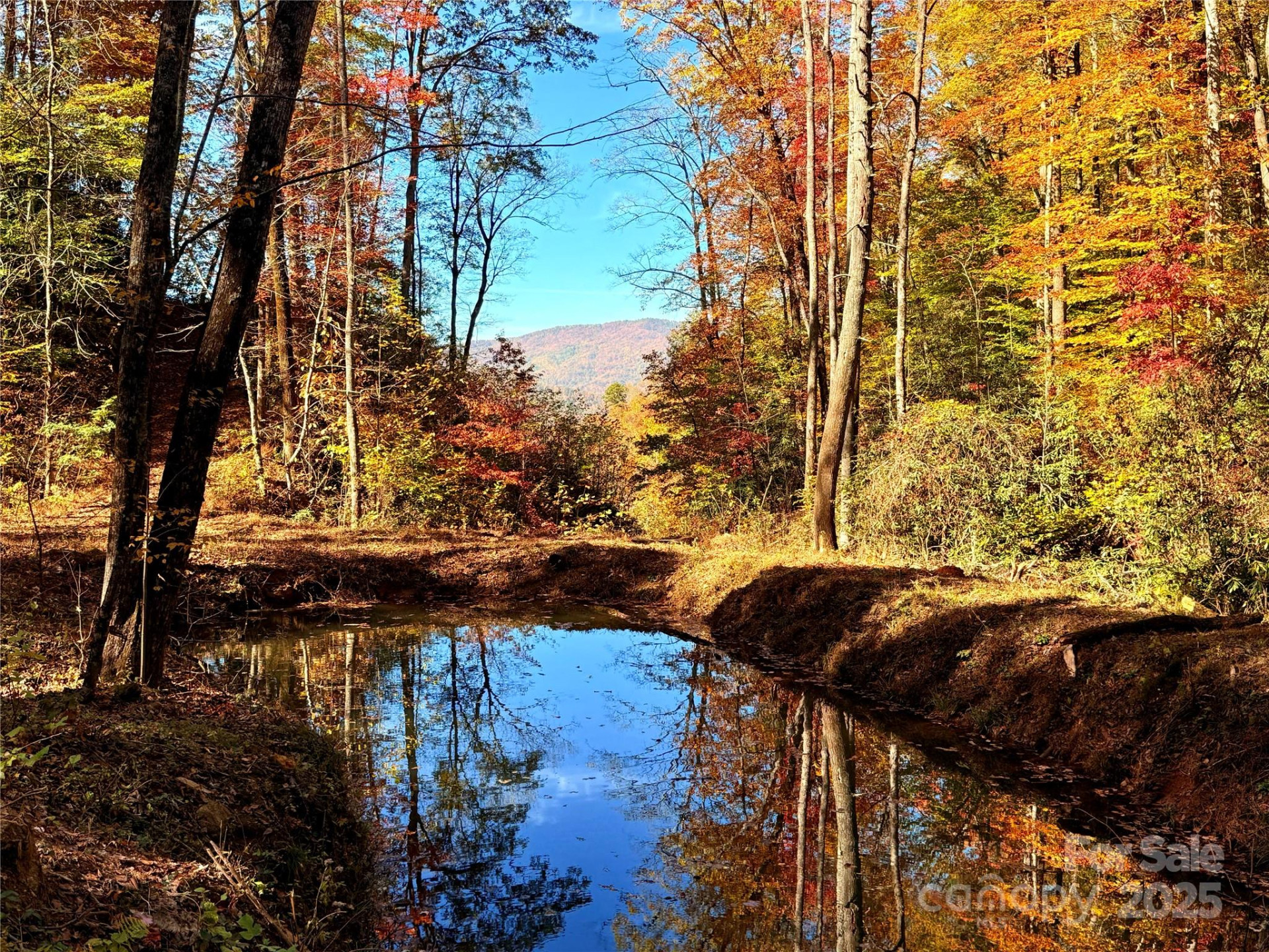 +/-17.73 Acres The Falls Road - Photo 4