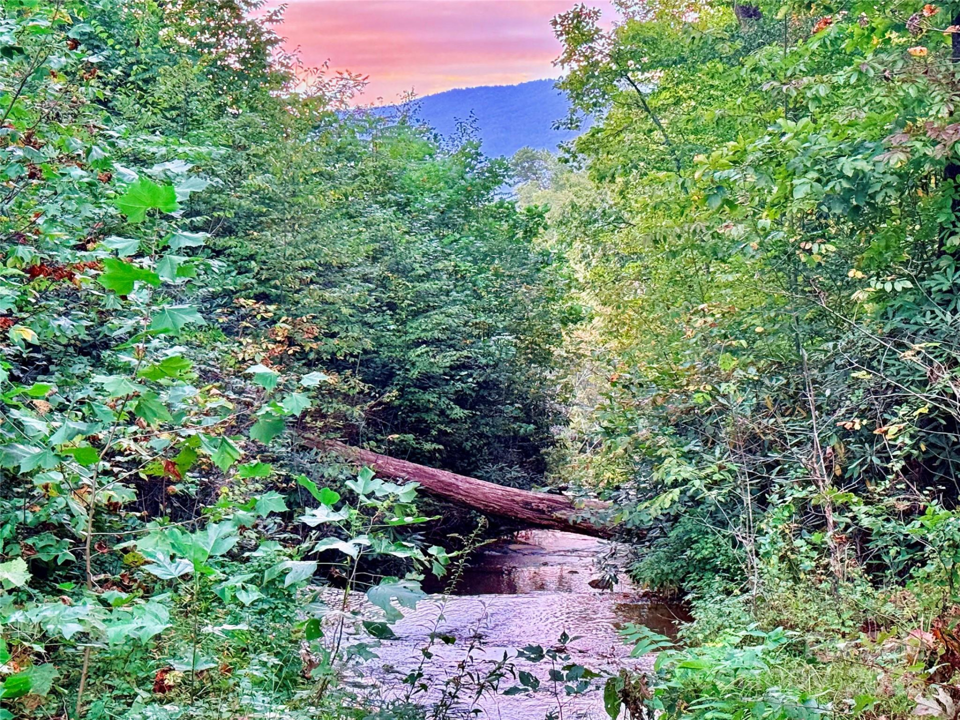 +/-17.73 Acres The Falls Road - Photo 6