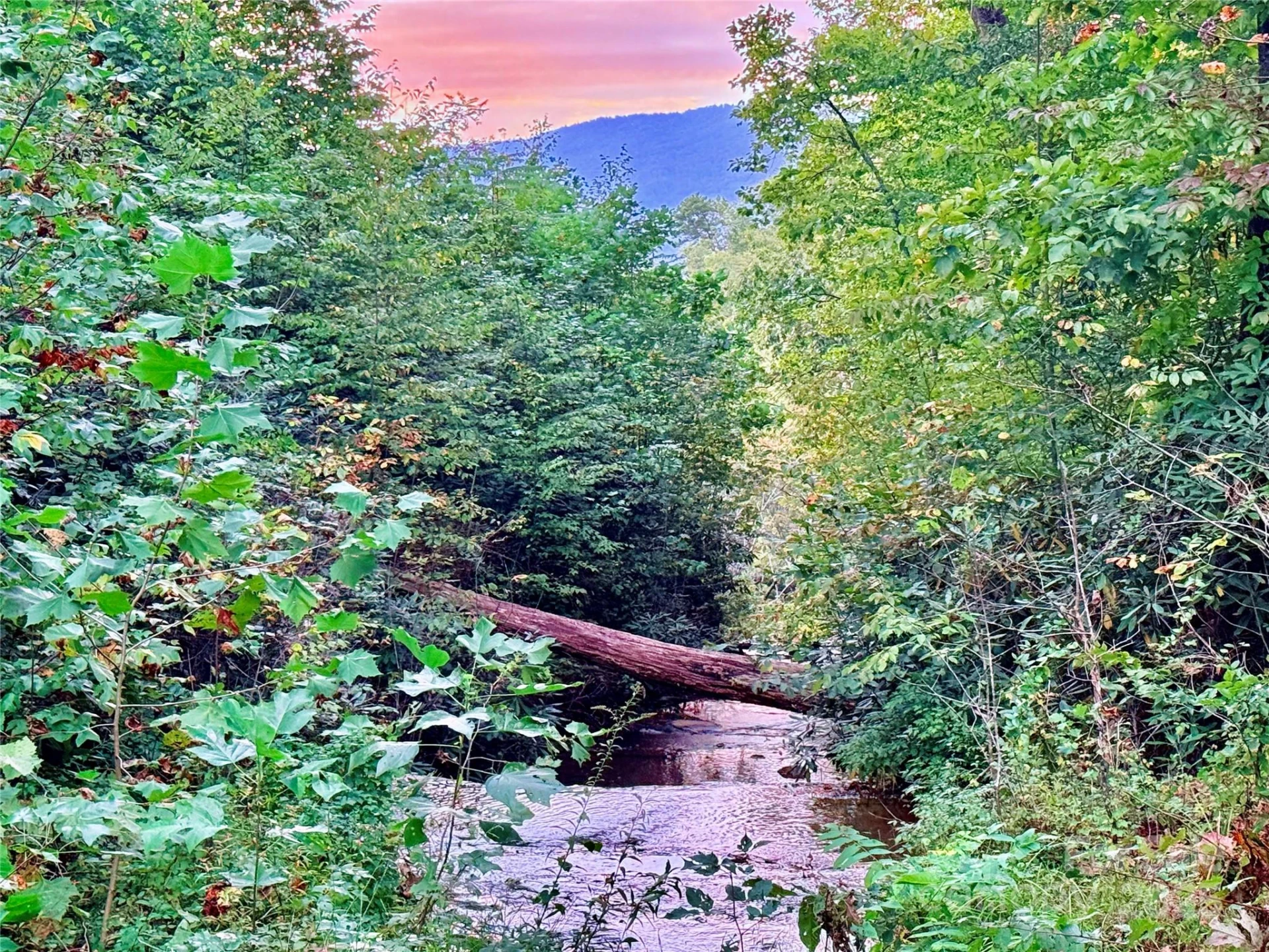 +/-17.73 Acres The Falls Road - Photo 6