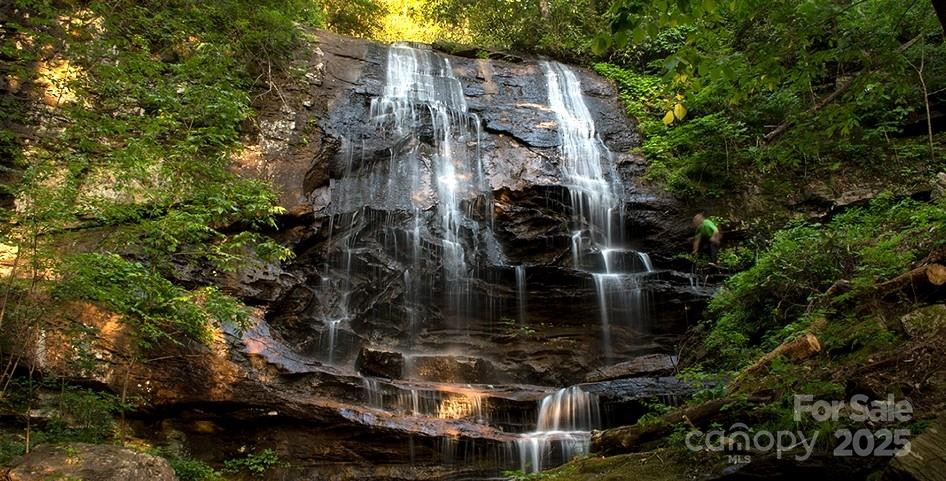 +/-17.73 Acres The Falls Road - Photo 9