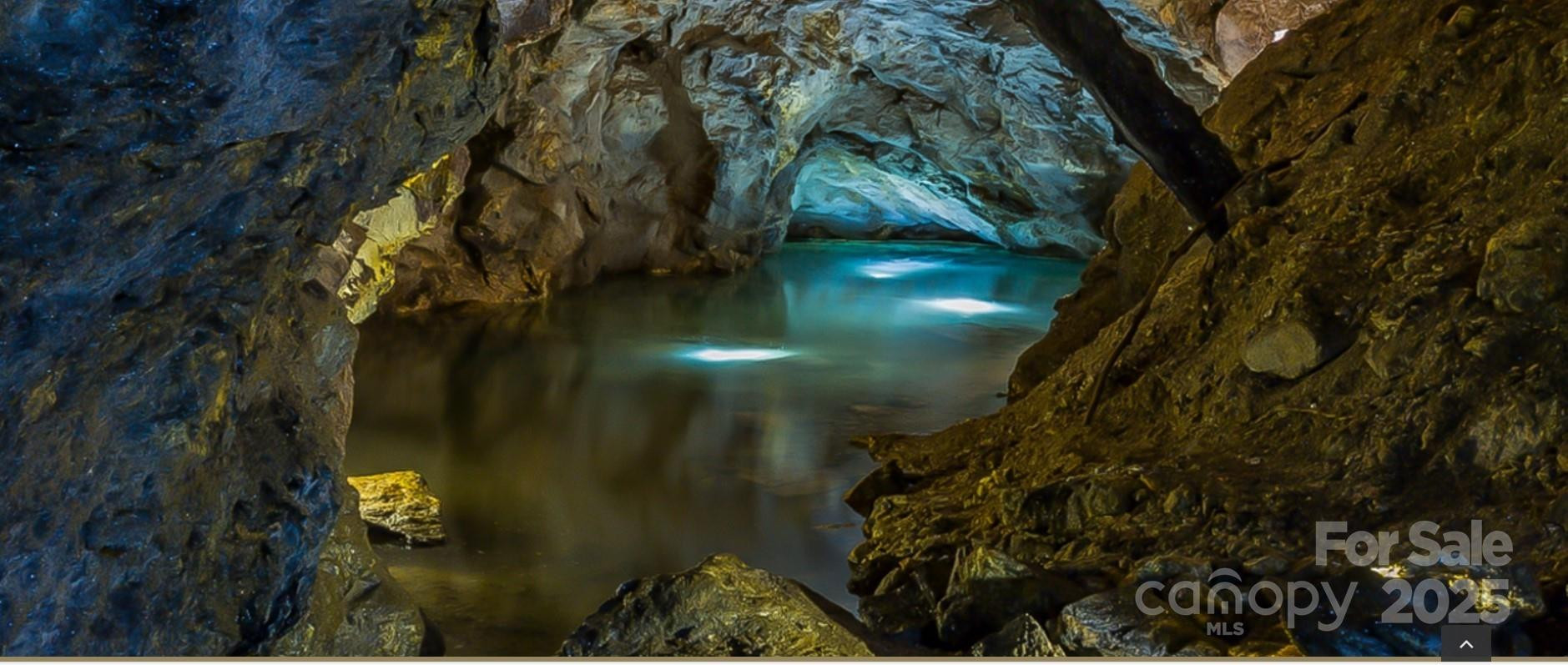 0 Shoal Ridge #5 - Photo 4