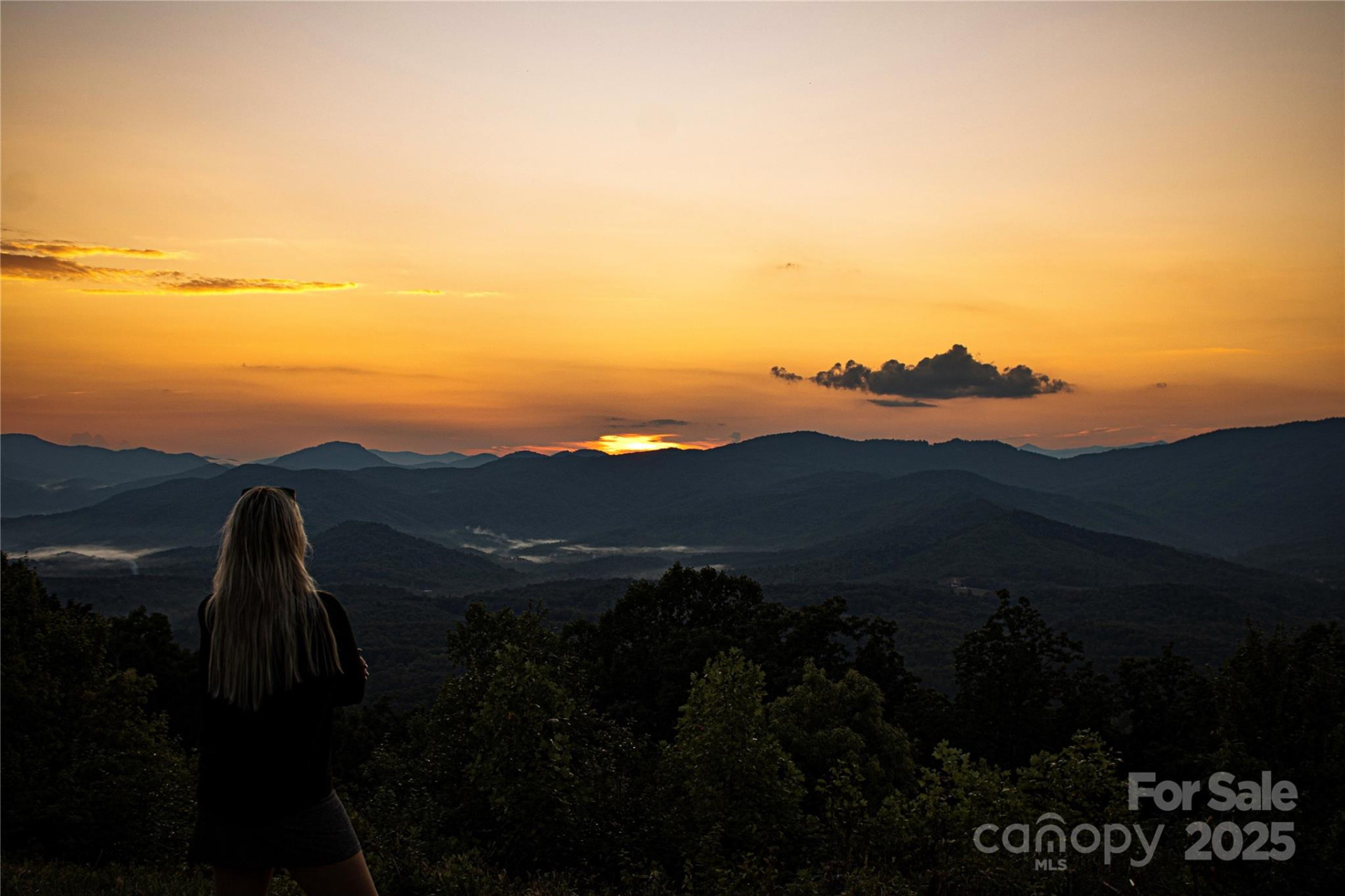 0 Shoal Ridge #5 - Photo 5