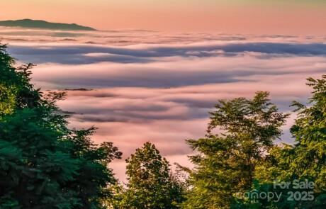 0 Shoal Ridge #5 - Photo 7