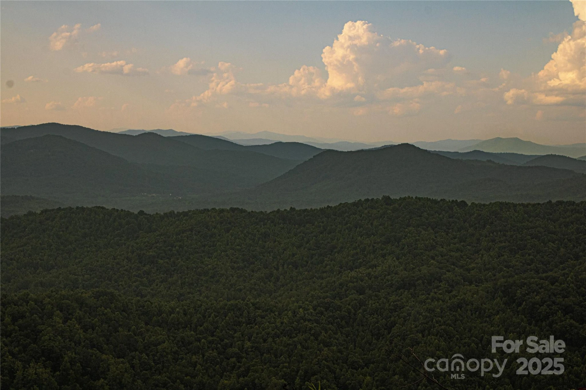 0 Shoal Ridge Lane #4 - Photo 5