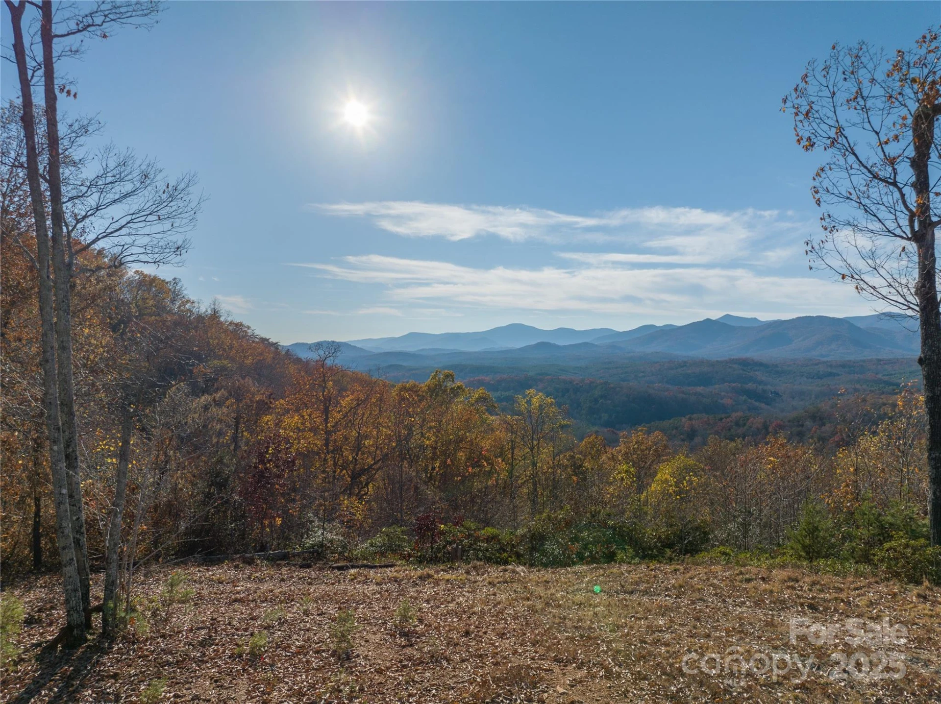 0 Shoal Ridge Lane #4 - Photo 6