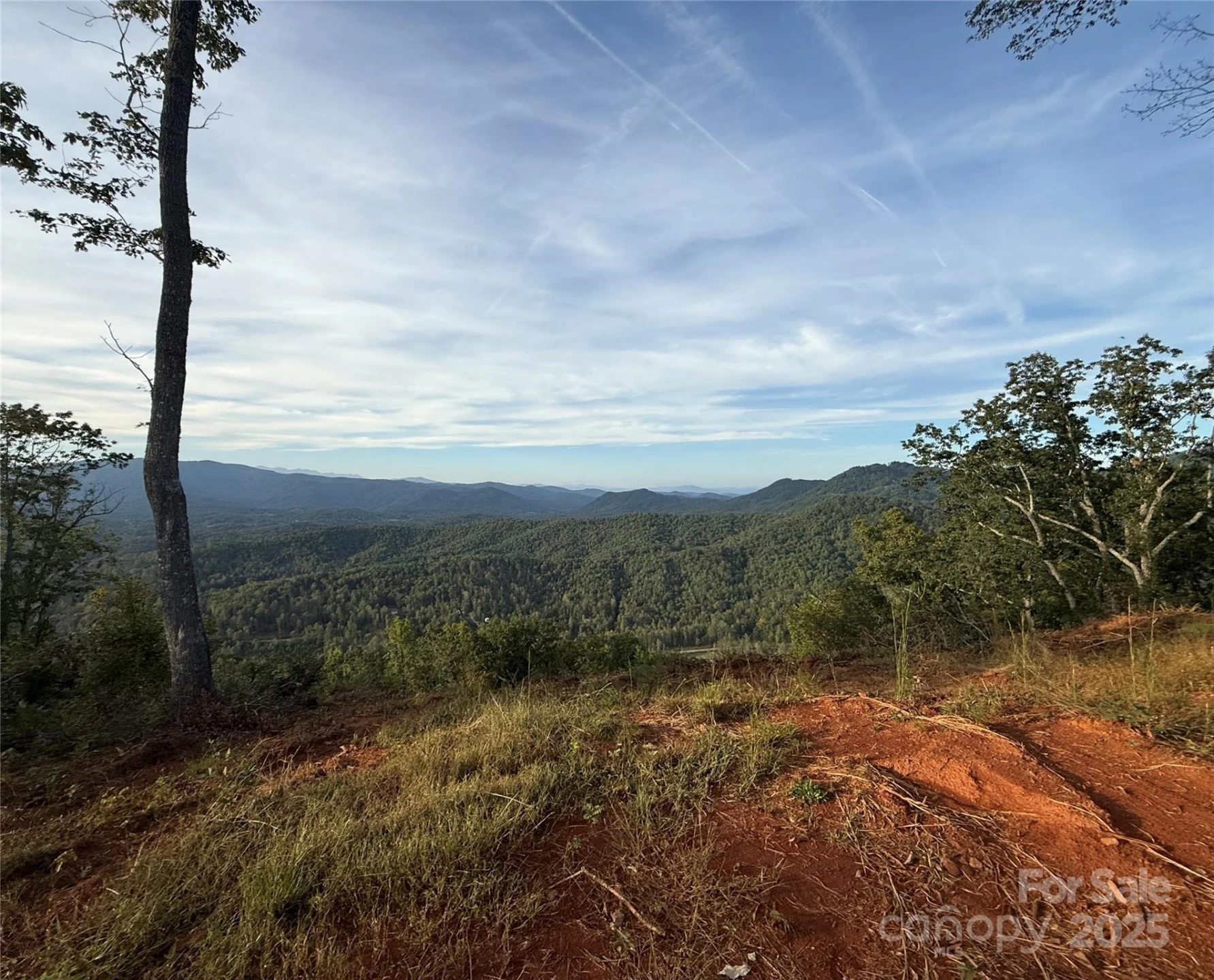 0 Shoal Ridge Lane #4 - Photo 8
