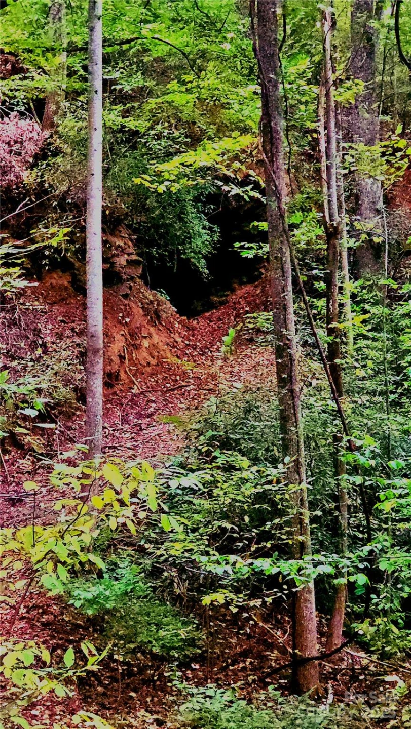 0 Shoal Ridge Lane #2 - Photo 4