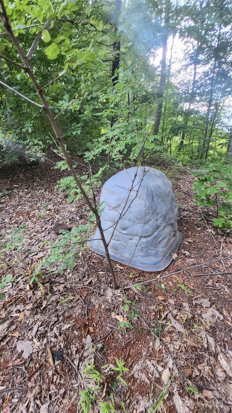 0 Shoal Ridge Lane #1 - Photo 18