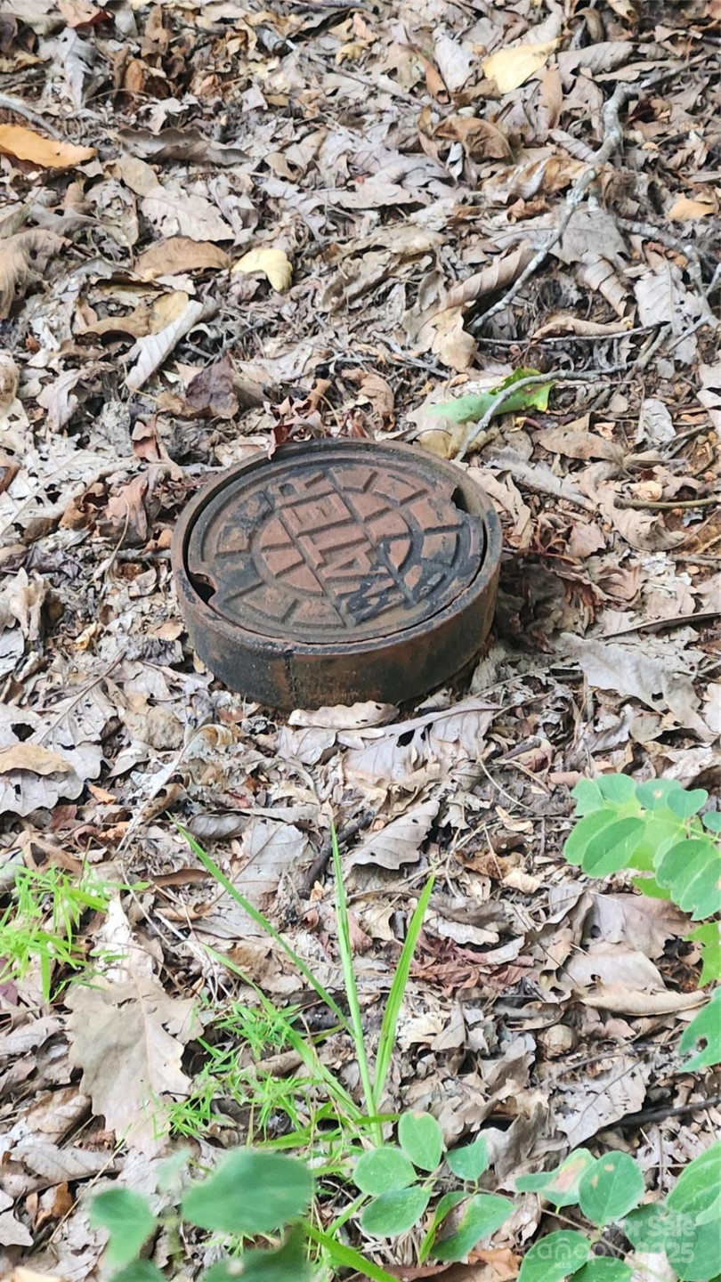 0 Shoal Ridge #1 - Photo 19