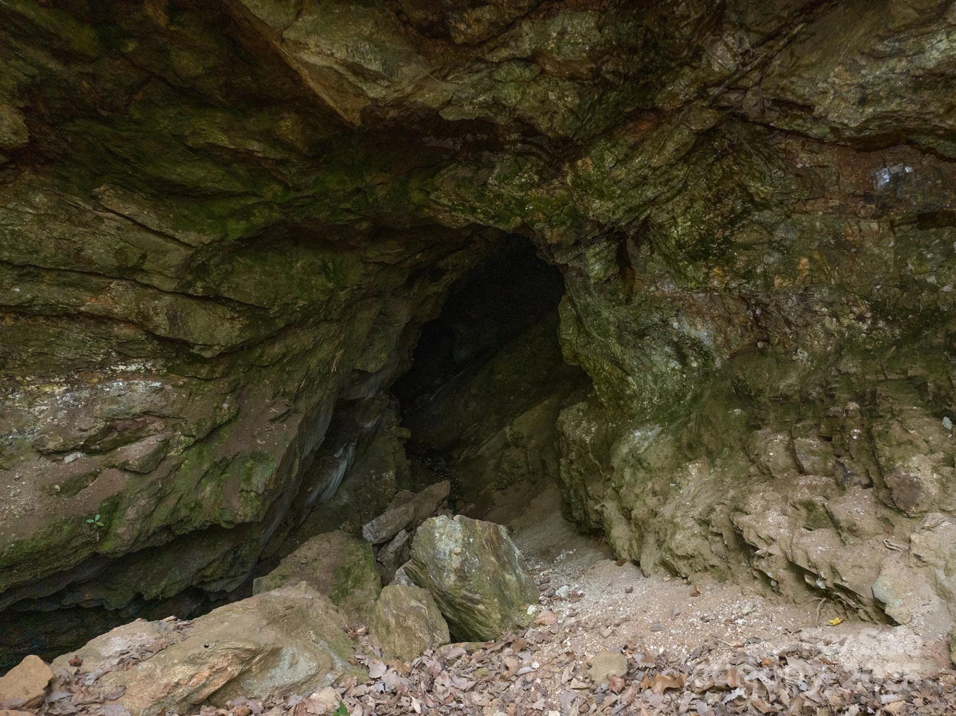 0 Shoal Ridge Lane #1 - Photo 3