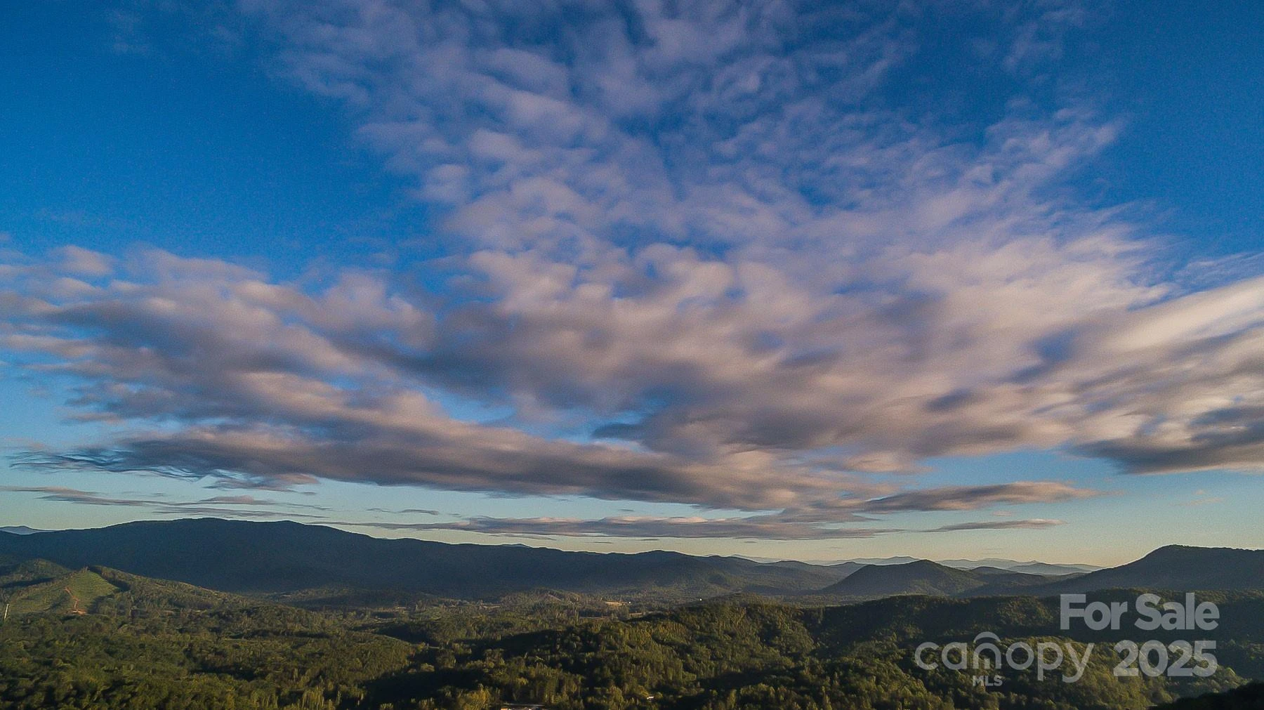 0 Shoal Ridge Lane #1 - Photo 6