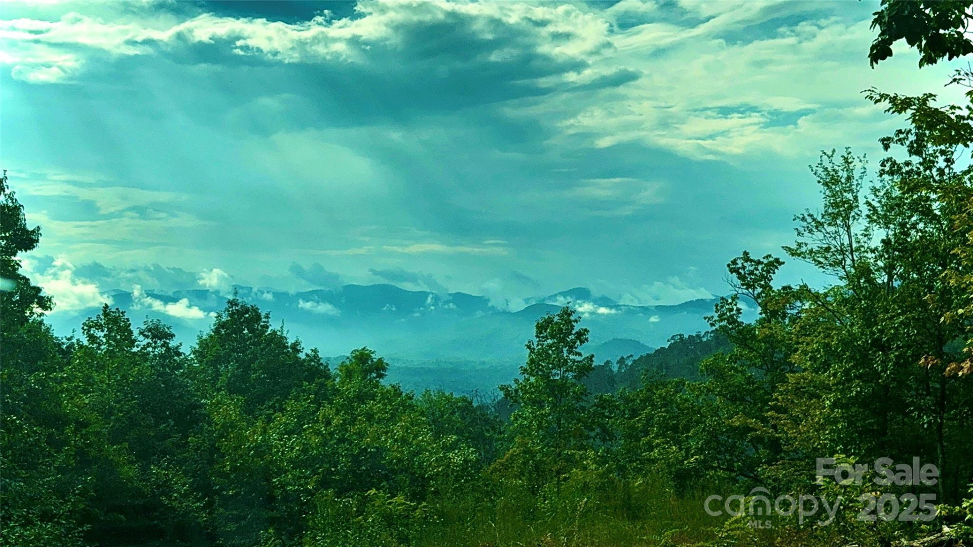 0 Tranquility Trail #41 - Photo 2