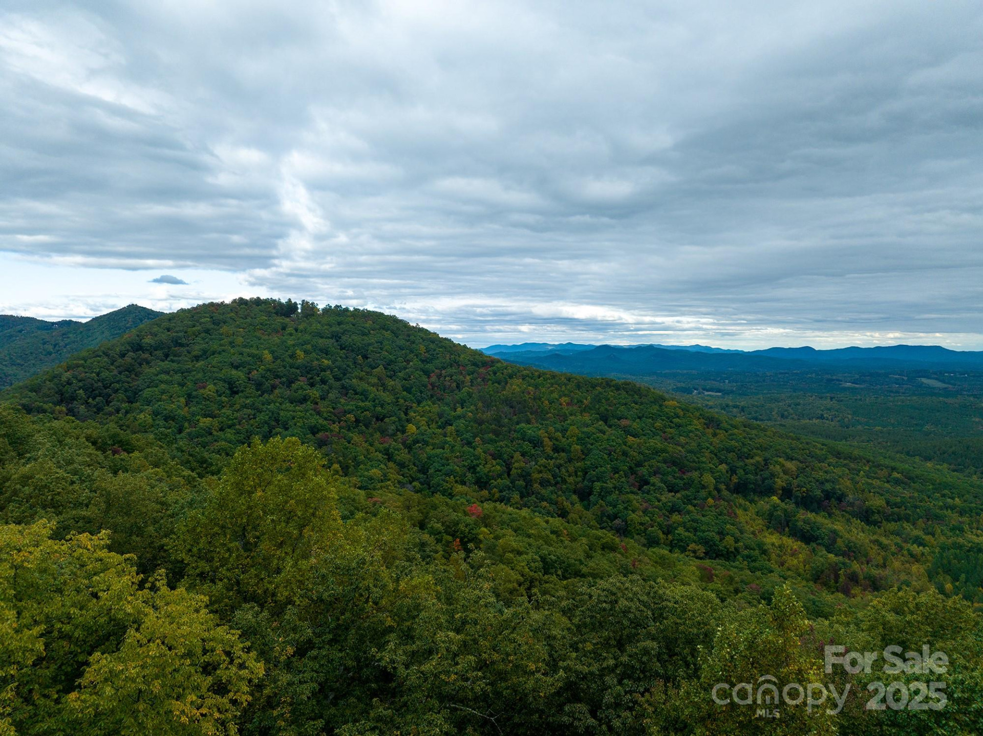 0 Tranquility Trail #41 - Photo 13