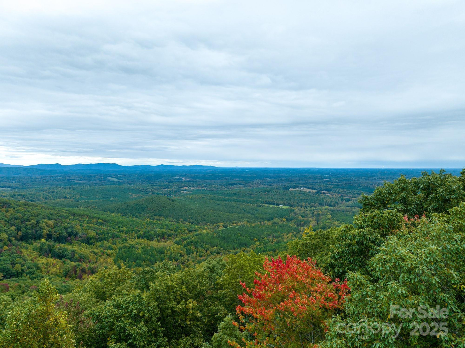 0 Tranquility Trail #41 - Photo 15