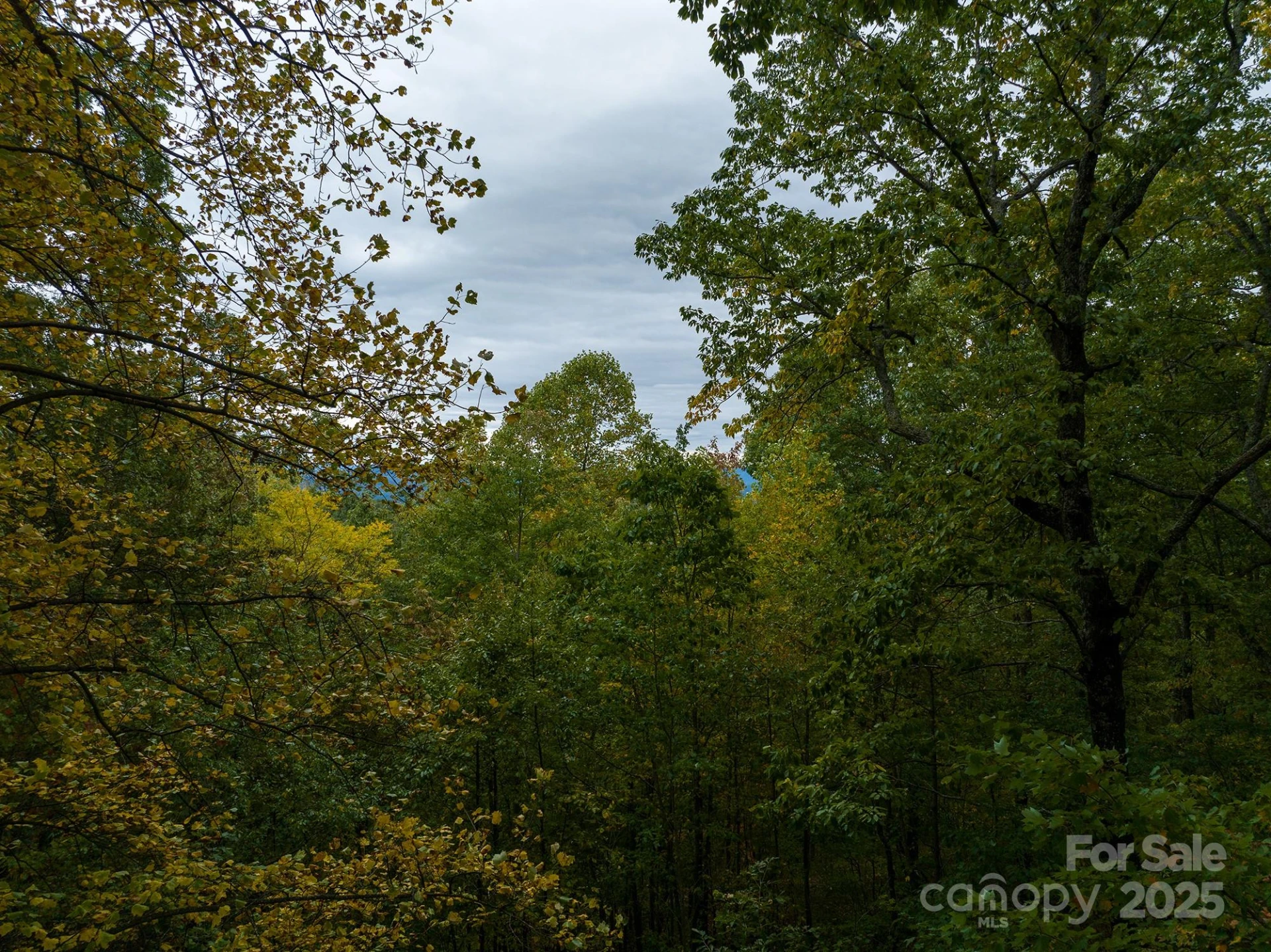 0 Tranquility Trail #41 - Photo 16
