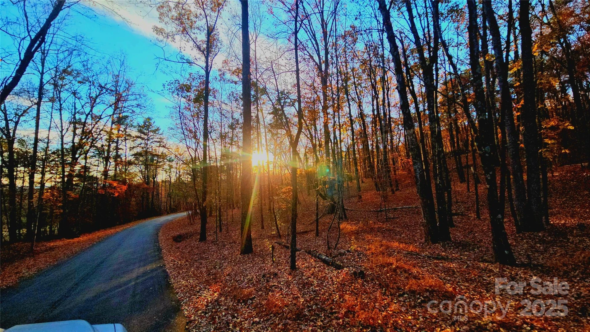0 Tranquility Trail #41 - Photo 17
