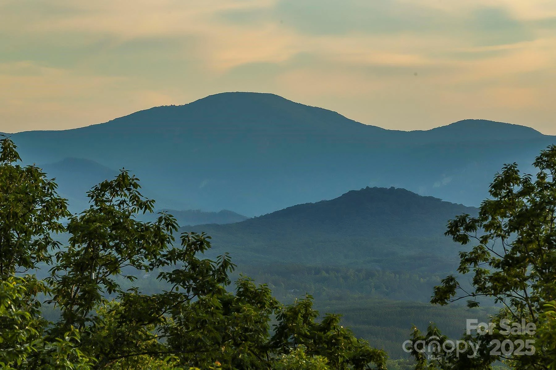 0 Tranquility Trail #41 - Photo 3