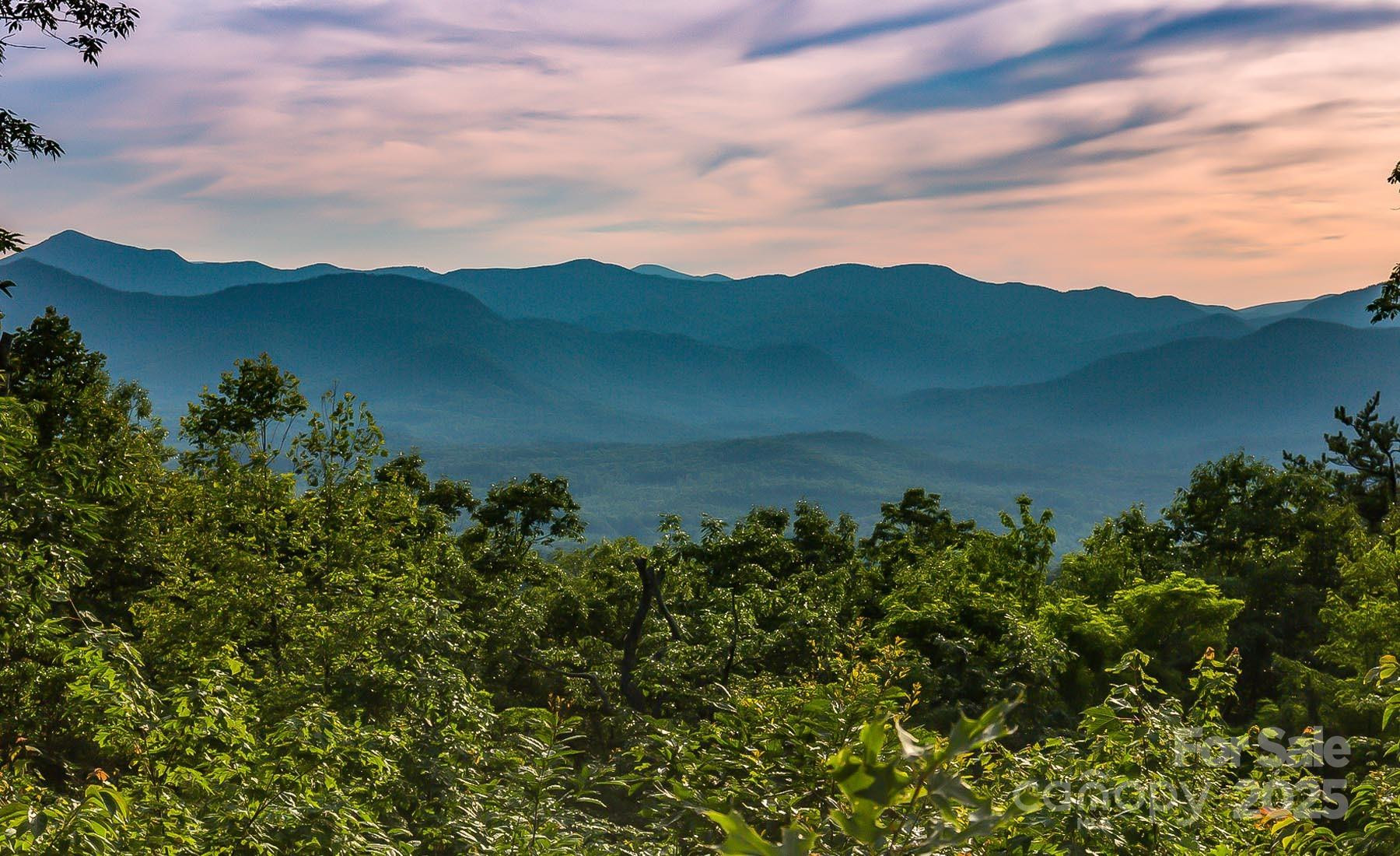 0 Tranquility Trail #41 - Photo 4