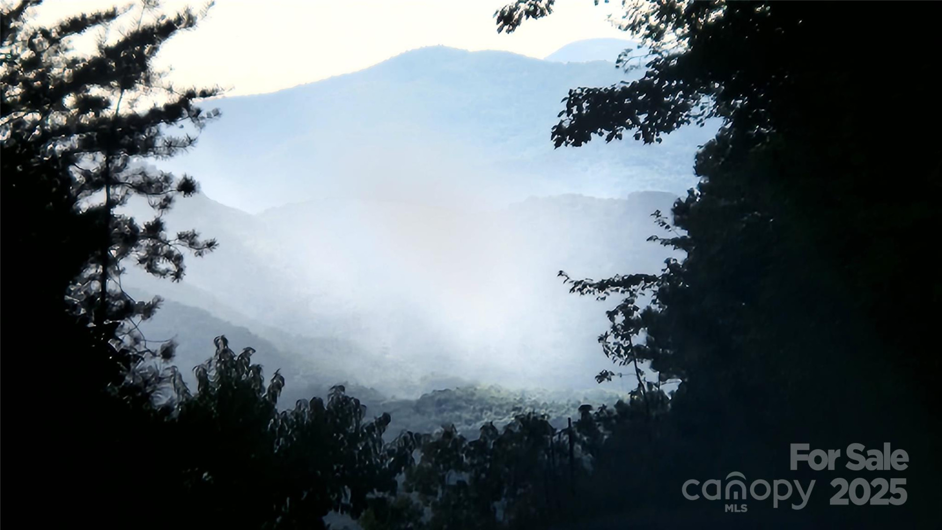 0 Tranquility Trail #41 - Photo 5