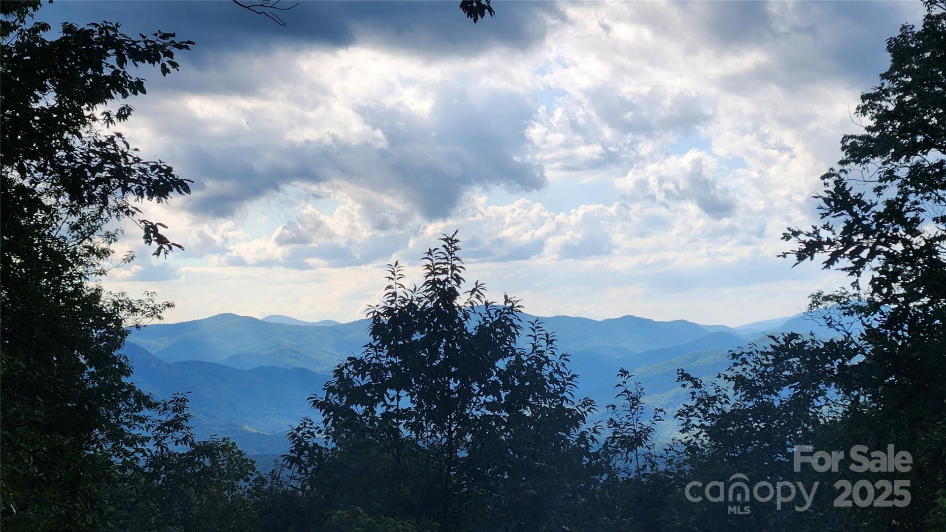 0 Tranquility Trail #41 - Photo 6