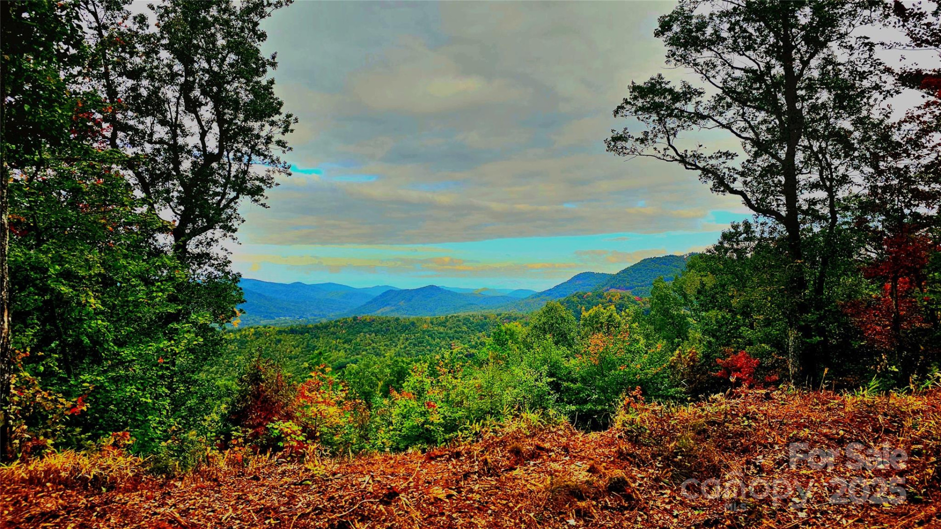 0 Tranquility Trail #41 - Photo 7